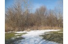 Property photo 11 - 1900's All Brick Home, Metal Frame Barn on 3.42 Acres